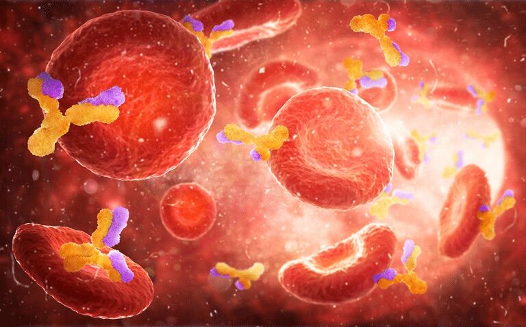 Anti-CD20 therapy increases complication risk in COVID-19 for blood cancer patients|Anti-CD20 therapy increases complication risk in COVID-19 for blood cancer patients