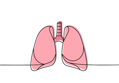 A digital illustration of human lungs in a continuous line drawing and block colour pink in the background to illustrate the question of whether lung cancer pathways are keeping up with precision medicine