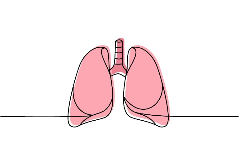 A digital illustration of human lungs in a continuous line drawing and block colour pink in the background to illustrate the question of whether lung cancer pathways are keeping up with precision medicine