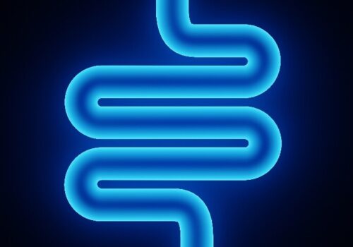 Minimalist illustration of a stylized intestine in bright blue