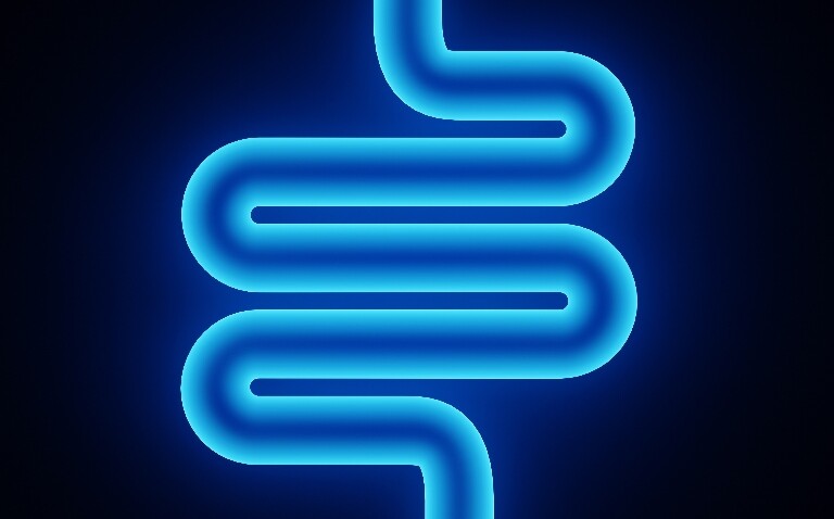 Minimalist illustration of a stylized intestine in bright blue
