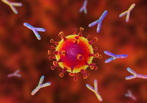 COVID-19 antibodies detected in 11% of those unaware of being infected