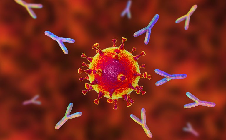 COVID-19 antibodies detected in 11% of those unaware of being infected
