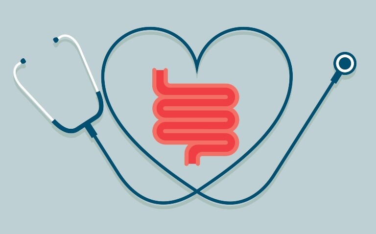 A digital illustration of a red intestine on a light teal background surrounded by a teal stethoscope with the cord in the shape of a heart