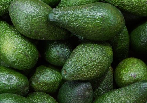 Daily avocado intake fails to reduce visceral adiposity