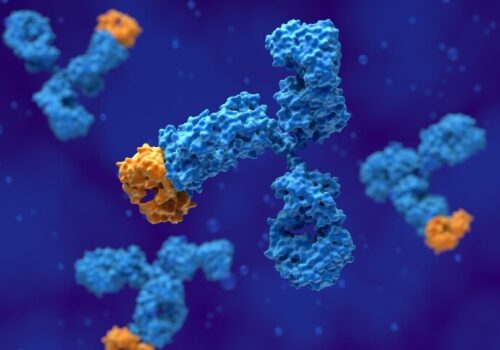A 3D rendering of a monoclonal antibody to illustrate the findings of a pooled trial analysis that confirm dupilumab efficacy in CSU