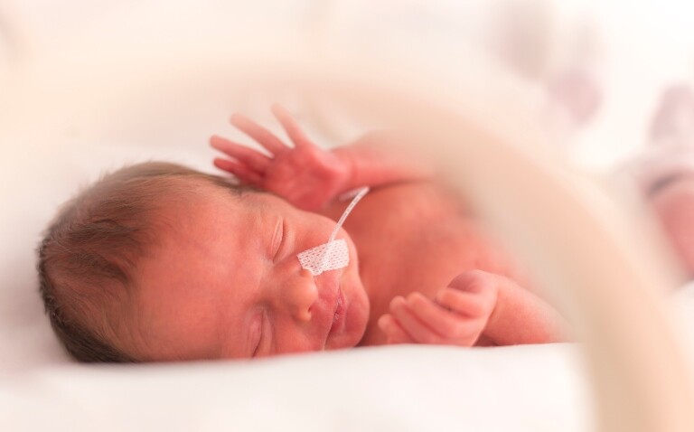 A close up of a preterm infant in a neonatal cot with a feeding tube in their nose to illustrate that early enteral feeding does not increase the risk of necrotising enterocolitis but neonatal admission unaffected