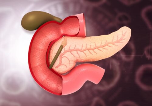 Human pancreas anatomy on scientific background. to illustrate how early enteral nutrition reduces postoperative complications after pancreatoduodenectomy