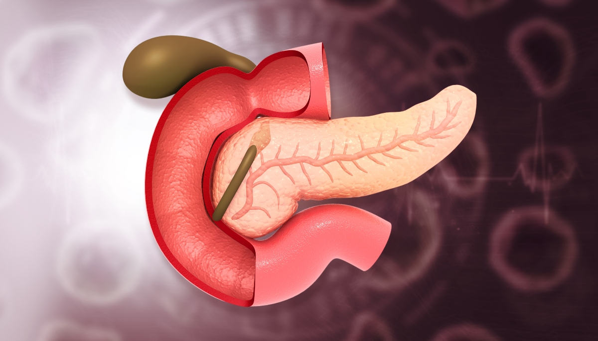 Human pancreas anatomy on scientific background. to illustrate how early enteral nutrition reduces postoperative complications after pancreatoduodenectomy