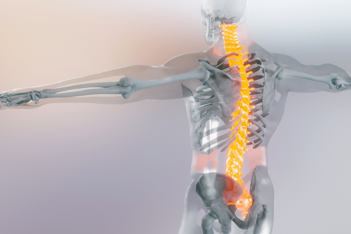 Transparent human figure with arms outstretched showing the skeletal system, with the spine highlighted in bright yellow and the lower back glowing red, indicating spinal pain or inflammation to illustrate the finding that upadacitinib delivers rapid and sustained pain relief across axSpA spectrum