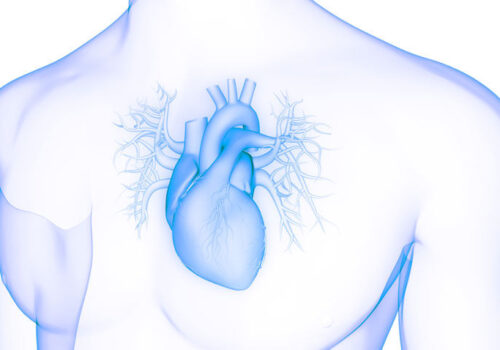 Focus on heart failure: Dr Andrew Coats|Andrew Coats
