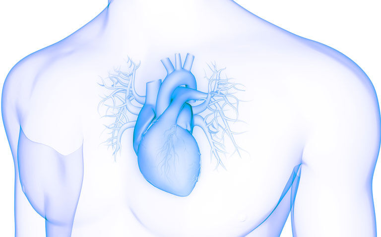 Focus on heart failure: Dr Andrew Coats|Andrew Coats