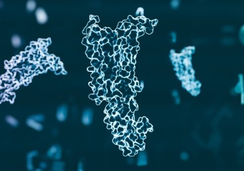 A digital illustration of a GLP-1 molecule to illustrate the repurposing of GLP-1s for cardioprotection after myocardial infarction