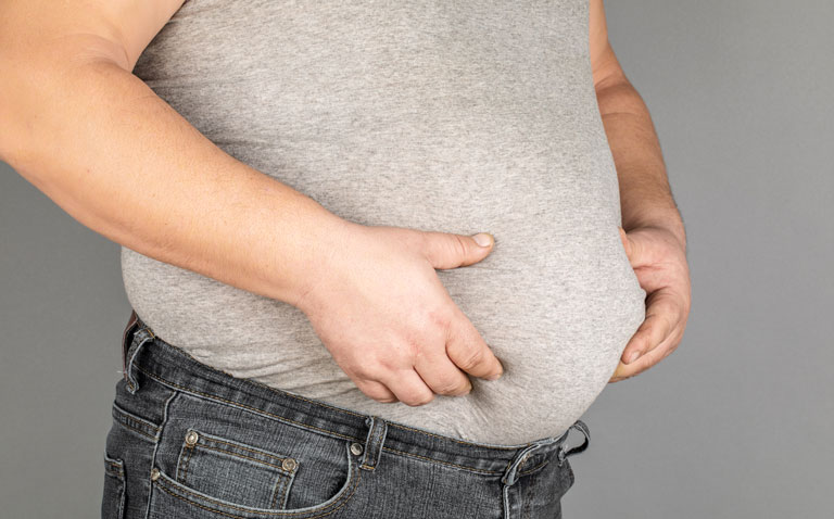 Generalised and visceral body fat levels on MRI linked with reduced cognitive scores
