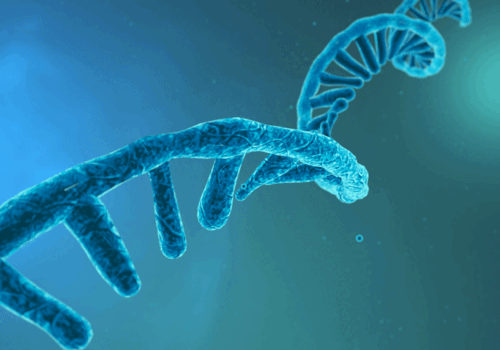 RNA aptamer