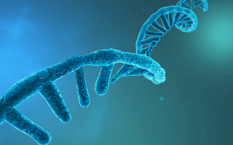 RNA aptamer
