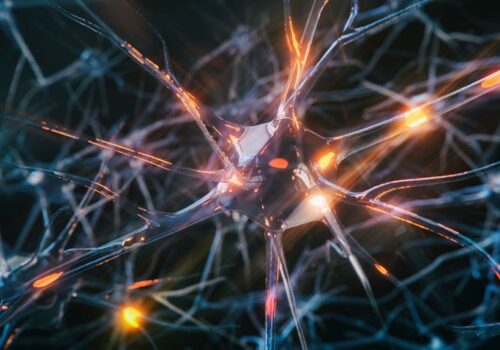 cognitive decline