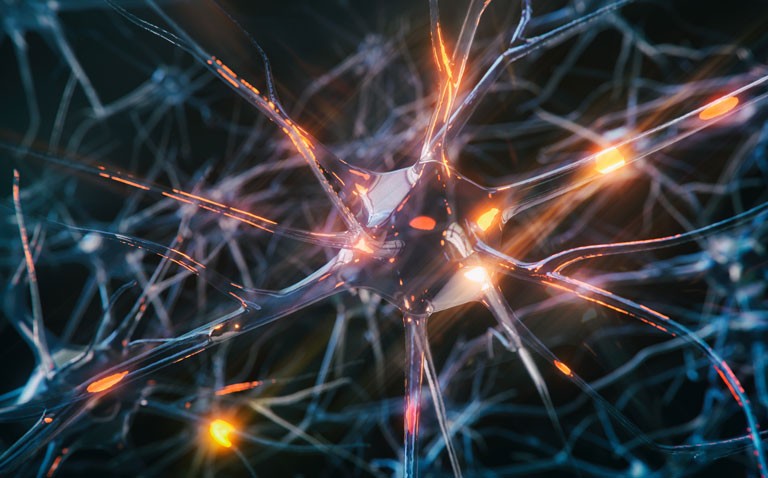 cognitive decline