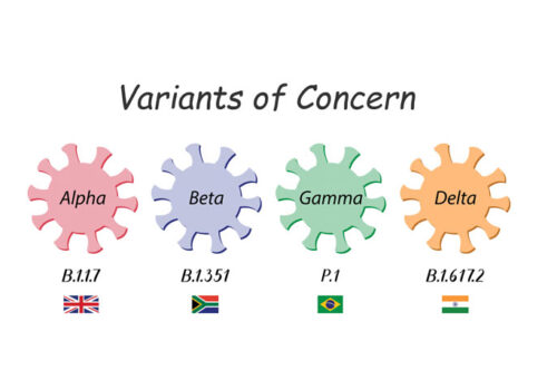 |variants of concern|Variants of concern