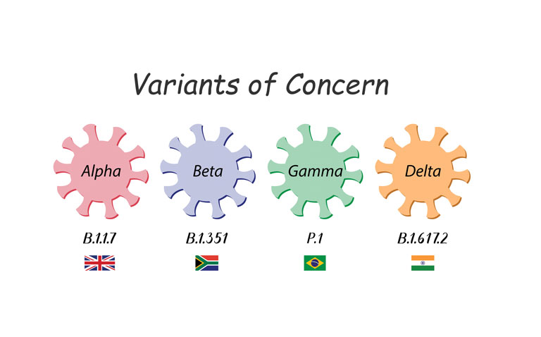 |variants of concern|Variants of concern