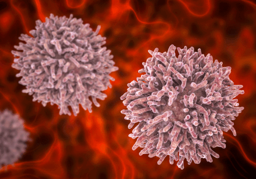 thyroid cancer cells