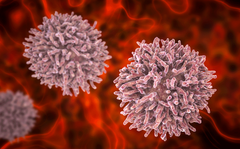 thyroid cancer cells