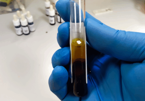bile acids