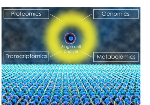 metabolomics|metabolomics|metabolomics