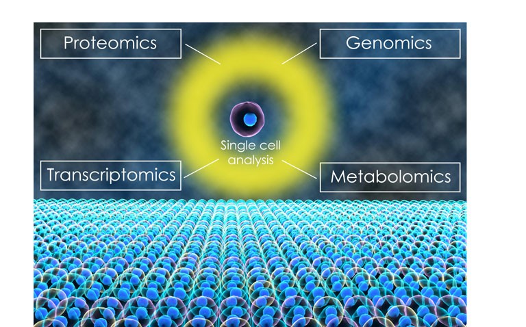 metabolomics|metabolomics|metabolomics