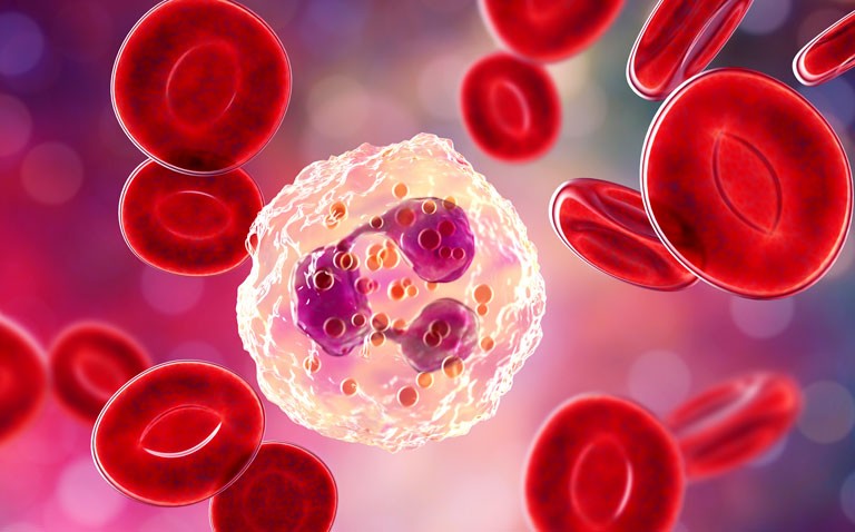 neutrophil activation in severe COVID