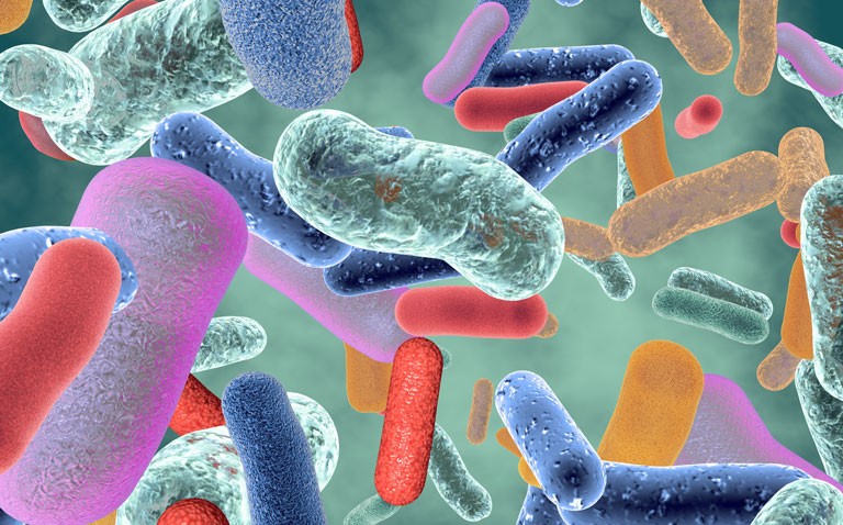 gut microbiome and intestinal inflammation