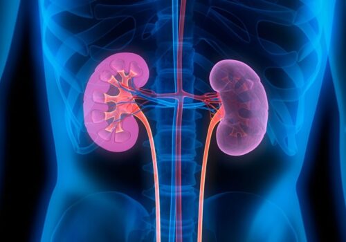 Study assesses response to a third COVID vaccination in kidney transplant patients