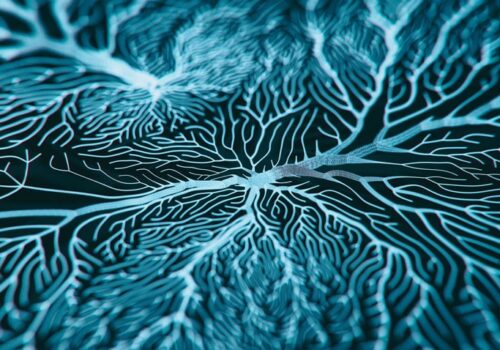 COVID and neurological symptoms