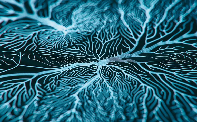 COVID and neurological symptoms
