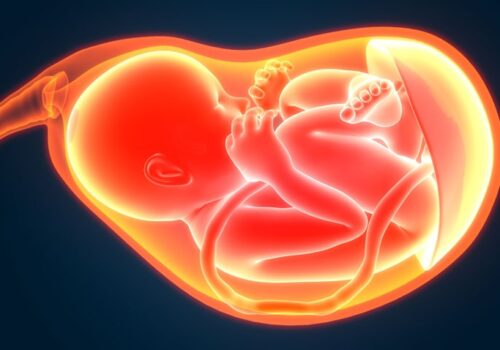 Immune response in pregnant women after COVID vaccination