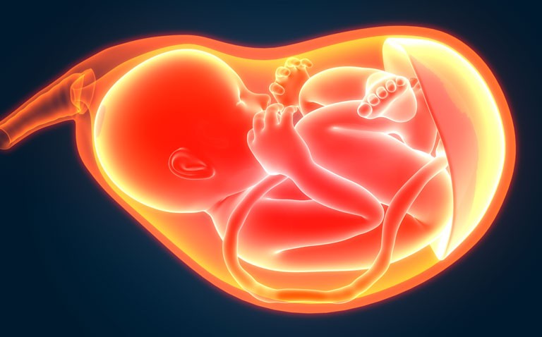 Immune response in pregnant women after COVID vaccination