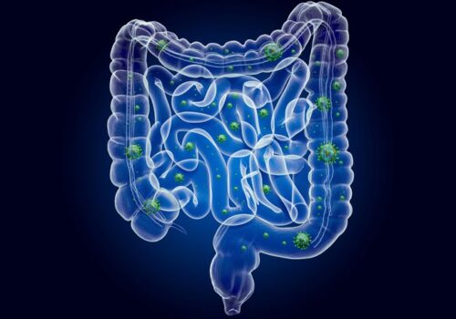 COVID and new GI symptoms