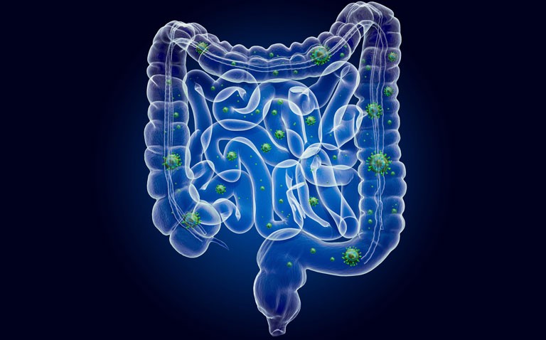 COVID and new GI symptoms