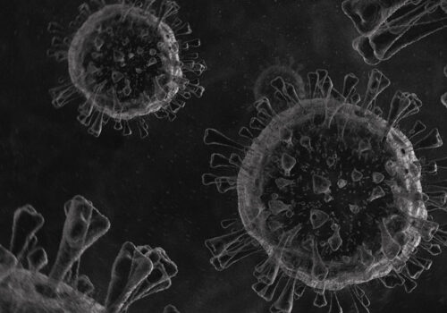 Large study suggests prior infection with COVID-19 minimises the risk of re-infection in those under 65