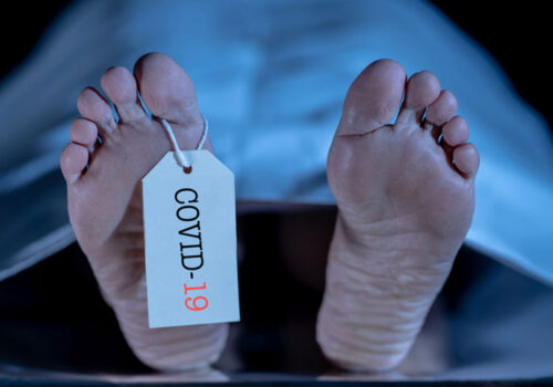covid mortality model