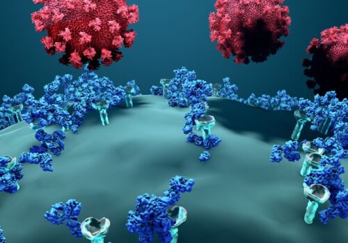 COVID antibodies