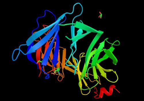 POLQ inhibitors and treatment of BRCA gene cancers