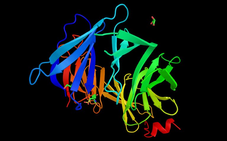 POLQ inhibitors and treatment of BRCA gene cancers