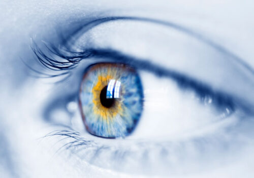 retinal imaging in type 1 diabetes