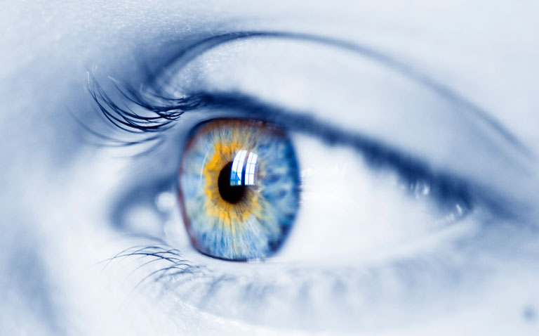 retinal imaging in type 1 diabetes