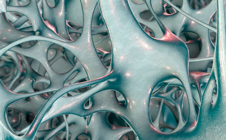 Slight increased risk of osteoporosis and fractures with long-term use of certain topical steroids