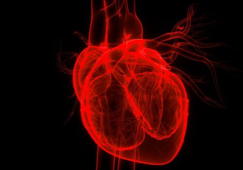 heart failure and cancer risk