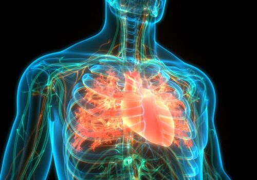 Report calls for urgent action on heart failure