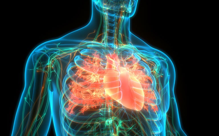 Report calls for urgent action on heart failure