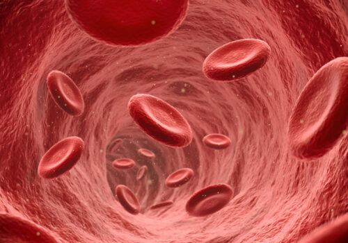 oral anticoagulation in COVID-19